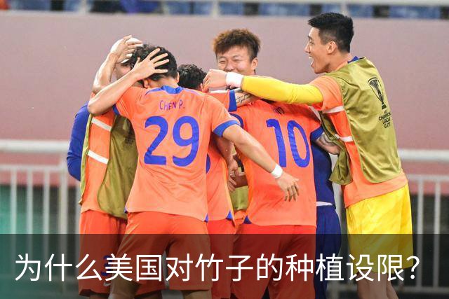 为什么美国对竹子的种植设限？